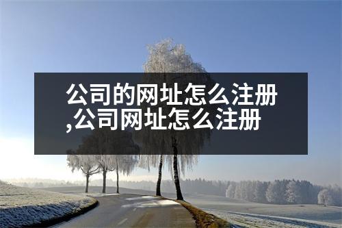 公司的網(wǎng)址怎么注冊(cè),公司網(wǎng)址怎么注冊(cè)