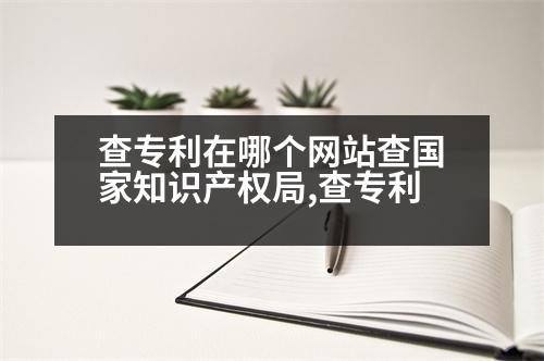 查專利在哪個網(wǎng)站查國家知識產(chǎn)權局,查專利