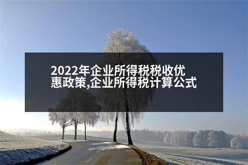 2022年企業(yè)所得稅稅收優(yōu)惠政策,企業(yè)所得稅計算公式