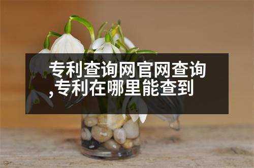 專利查詢網(wǎng)官網(wǎng)查詢,專利在哪里能查到