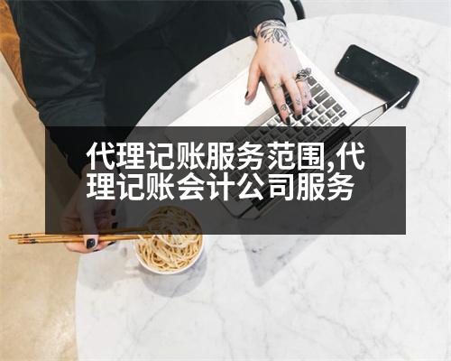 代理記賬服務(wù)范圍,代理記賬會計公司服務(wù)