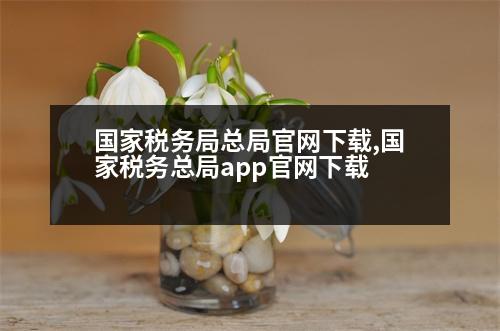 國家稅務局總局官網(wǎng)下載,國家稅務總局app官網(wǎng)下載