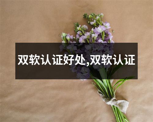 雙軟認證好處,雙軟認證