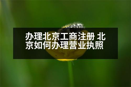 辦理北京工商注冊 北京如何辦理營業(yè)執(zhí)照