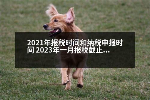 2021年報稅時間和納稅申報時間 2023年一月報稅截止日期