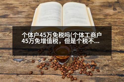 個(gè)體戶45萬免稅嗎(個(gè)體工商戶45萬免增值稅，但是個(gè)稅不免，應(yīng)交多少錢)