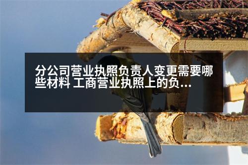 分公司營業(yè)執(zhí)照負(fù)責(zé)人變更需要哪些材料 工商營業(yè)執(zhí)照上的負(fù)責(zé)人可以換人嗎