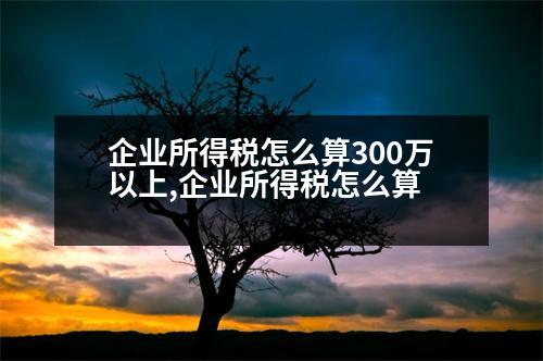 企業(yè)所得稅怎么算300萬以上,企業(yè)所得稅怎么算