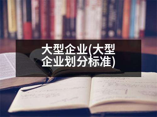 大型企業(yè)(大型企業(yè)劃分標準)