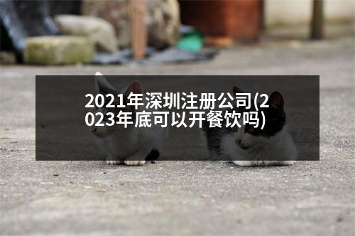 2021年深圳注冊(cè)公司(2023年底可以開餐飲嗎)