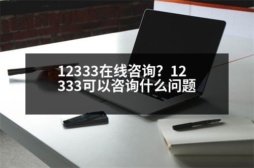 12333在線咨詢？12333可以咨詢什么問題