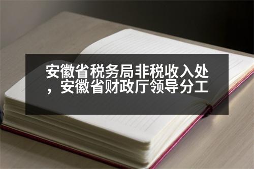 安徽省稅務(wù)局非稅收入處，安徽省財(cái)政廳領(lǐng)導(dǎo)分工