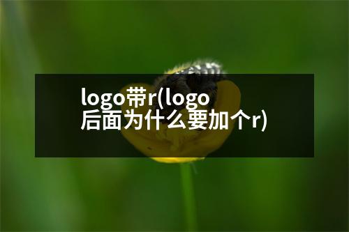 logo帶r(logo后面為什么要加個r)