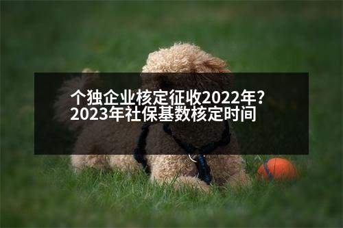 個獨企業(yè)核定征收2022年？2023年社?；鶖?shù)核定時間