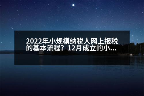 2022年小規(guī)模納稅人網(wǎng)上報稅的基本流程？12月成立的小規(guī)模納稅人如何報稅