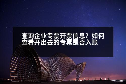 查詢企業(yè)專票開票信息？如何查看開出去的專票是否入賬