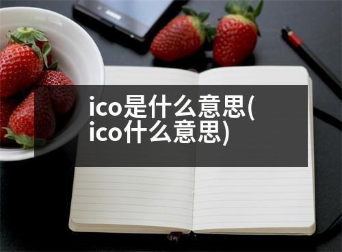 ico是什么意思(ico什么意思)