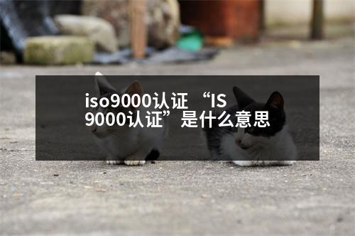 iso9000認證 “IS9000認證”是什么意思