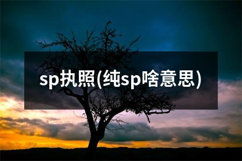 sp執(zhí)照(純sp啥意思)