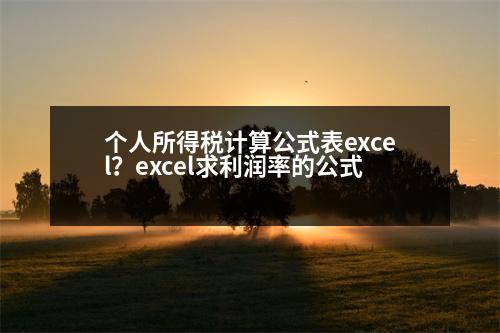 個人所得稅計算公式表excel？excel求利潤率的公式