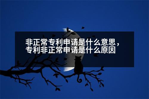 非正常專利申請(qǐng)是什么意思，專利非正常申請(qǐng)是什么原因