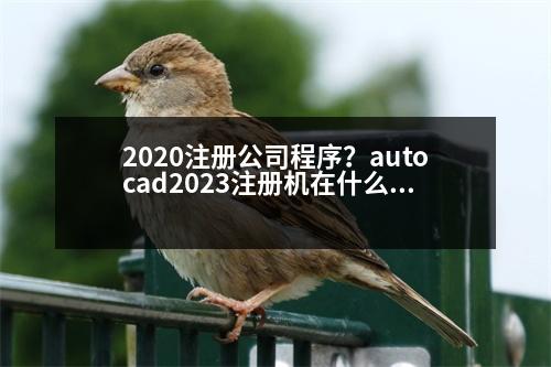 2020注冊公司程序？autocad2023注冊機在什么位置