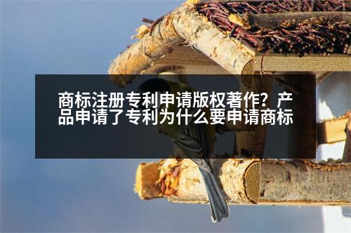 商標注冊專利申請版權著作？產(chǎn)品申請了專利為什么要申請商標