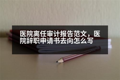 醫(yī)院離任審計報告范文，醫(yī)院辭職申請書去向怎么寫