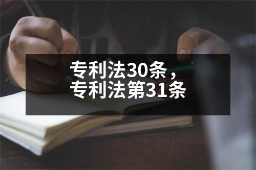 專利法30條，專利法第31條