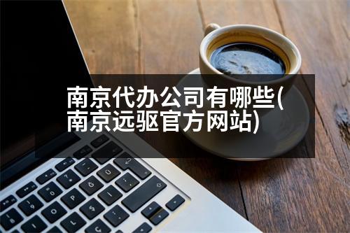 南京代辦公司有哪些(南京遠驅官方網(wǎng)站)