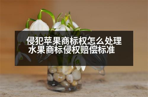 侵犯蘋(píng)果商標(biāo)權(quán)怎么處理 水果商標(biāo)侵權(quán)賠償標(biāo)準(zhǔn)