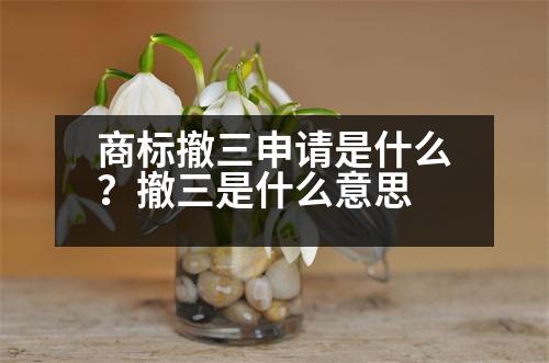 商標撤三申請是什么？撤三是什么意思