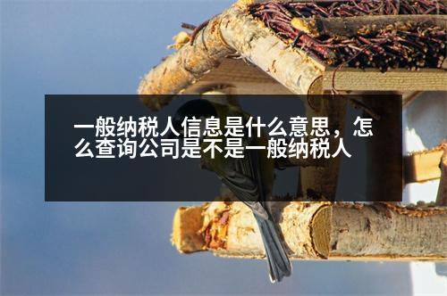 一般納稅人信息是什么意思，怎么查詢公司是不是一般納稅人