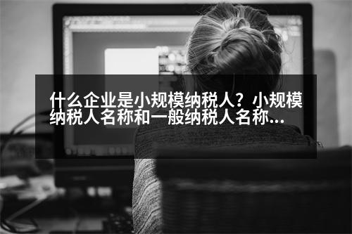 什么企業(yè)是小規(guī)模納稅人？小規(guī)模納稅人名稱和一般納稅人名稱后面都是“公司”嗎