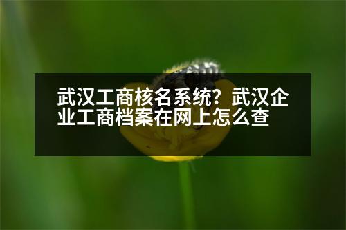 武漢工商核名系統(tǒng)？武漢企業(yè)工商檔案在網(wǎng)上怎么查